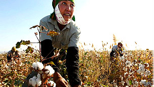 130610191349_algodon_304x171_spl