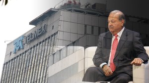 e015bc6d92990d934231c055351c7055_article