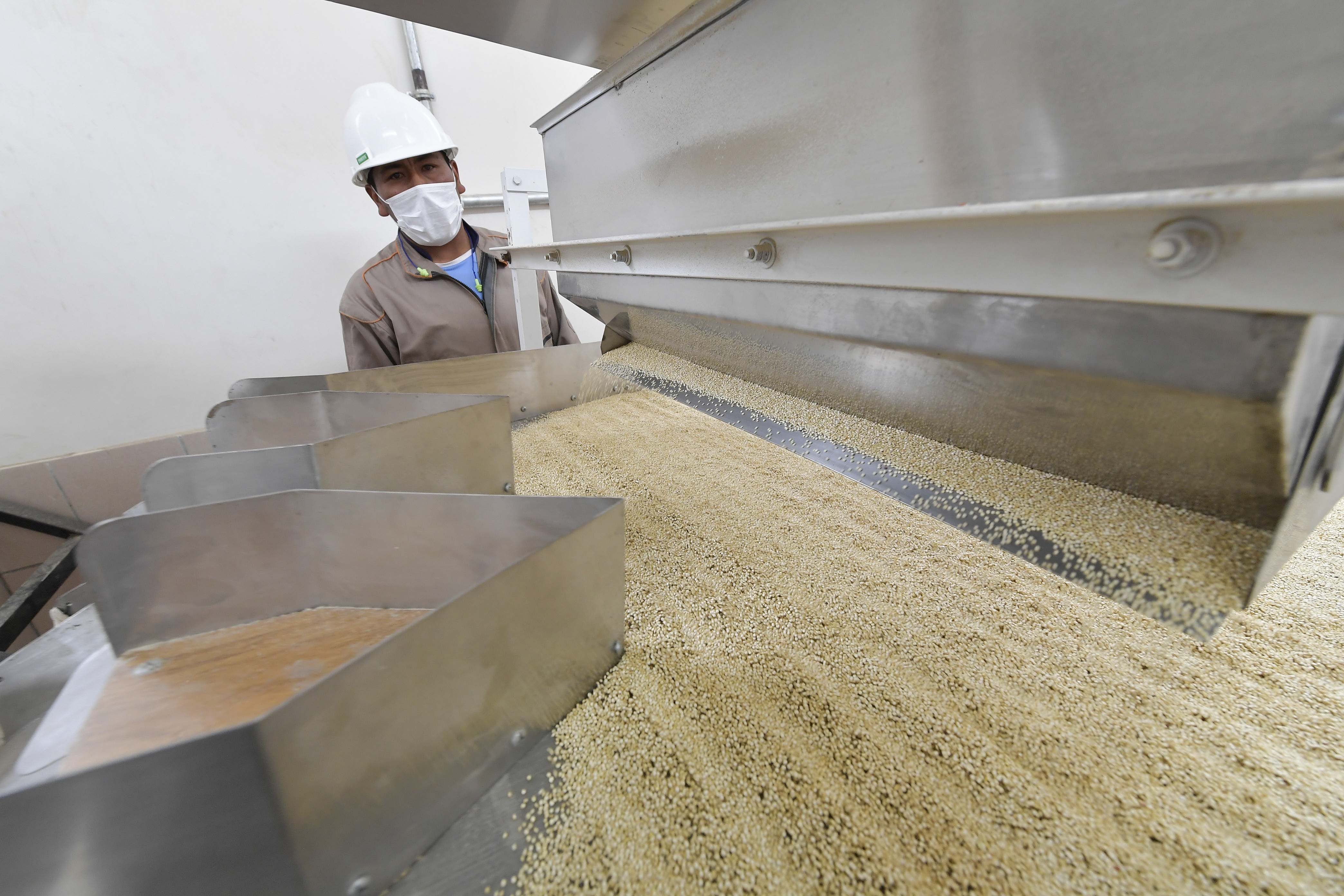 Planta procesadora de Quinua, Coliseo cerrado Sevaruyo, Sistema de agua potable y viviendas sociales.